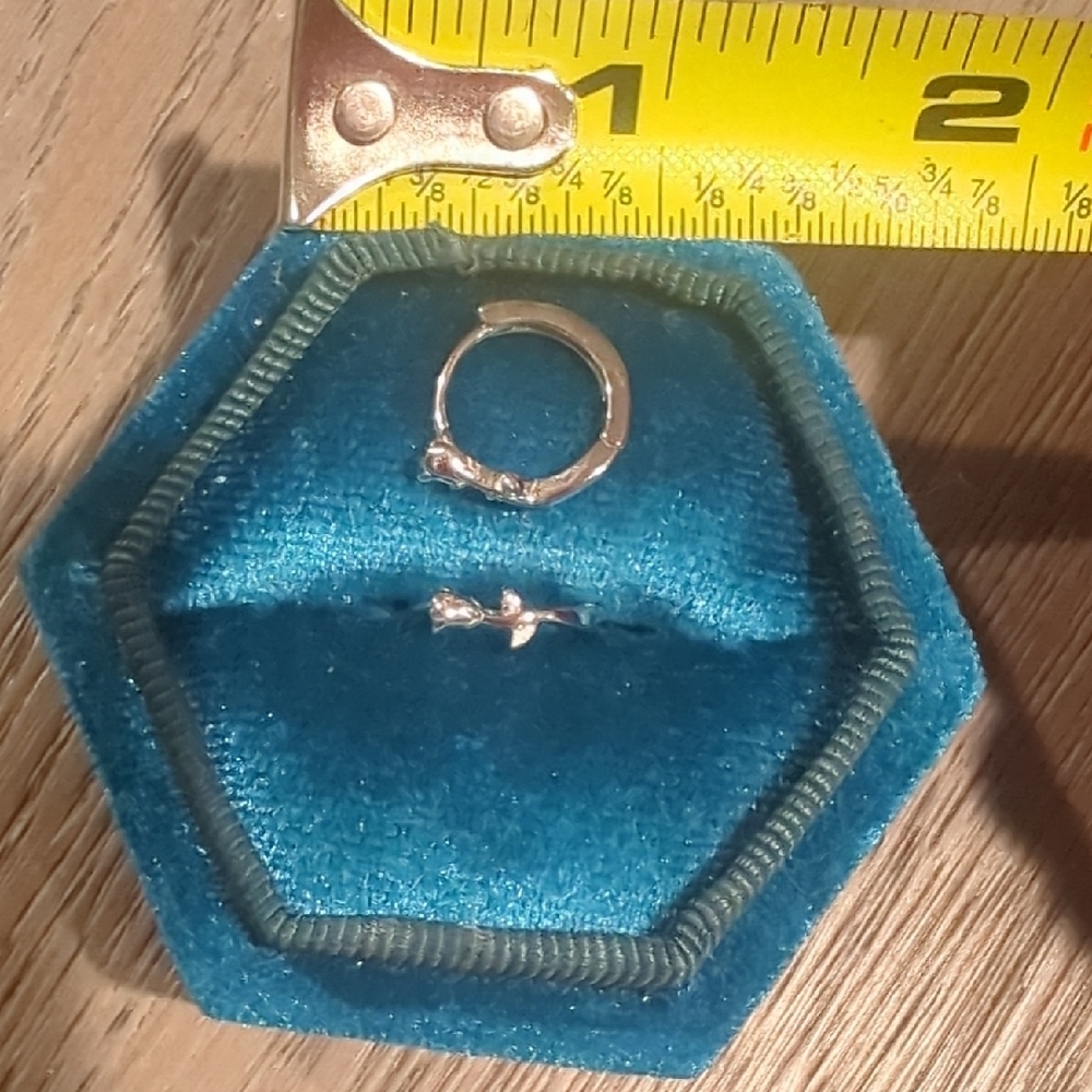 Elegant Rose Silver Hoop Earrings